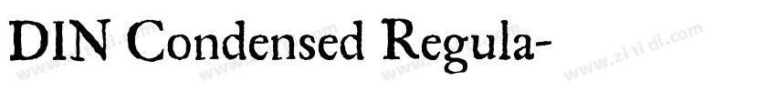 DIN Condensed Regula字体转换
